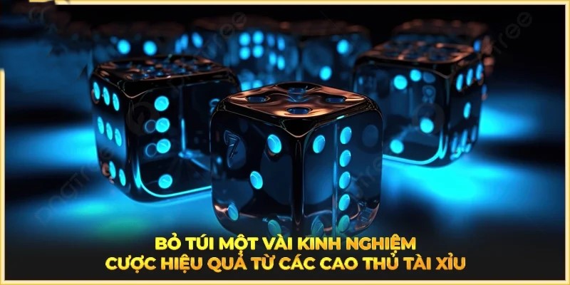 Áp dụng kinh nghiệm từ cao thủ giúp bạn đặt cược hiệu quả hơn