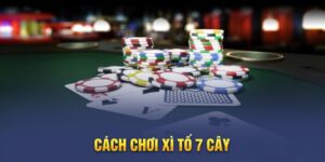 cách chơi bài xì tố 7 cây